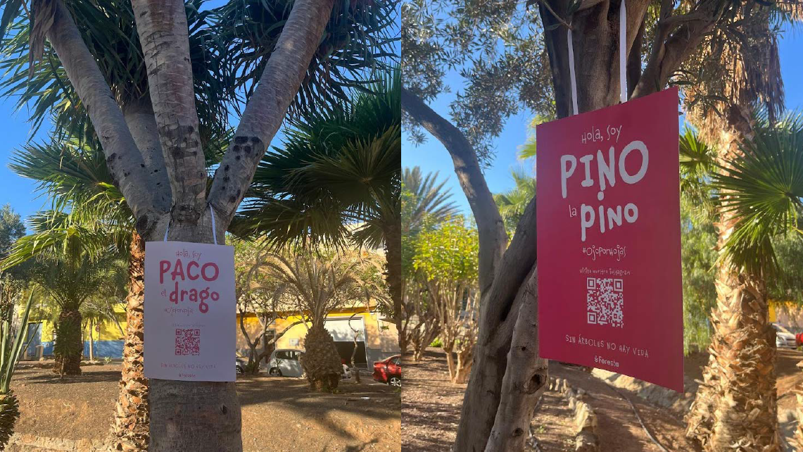Carteles